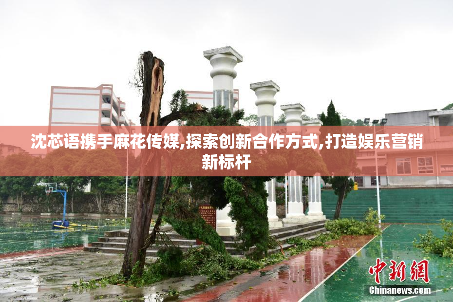 沈芯语携手麻花传媒,探索创新合作方式,打造娱乐营销新标杆