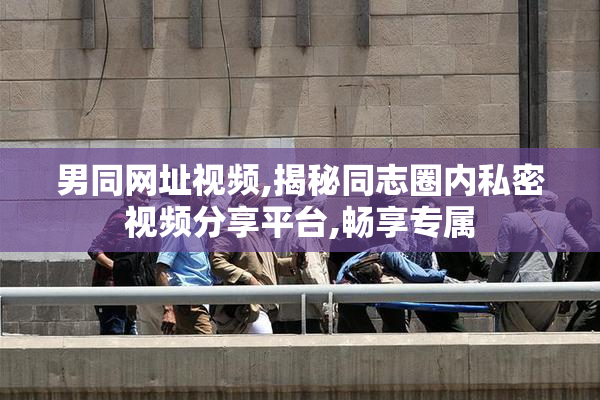 男同网址视频,揭秘同志圈内私密视频分享平台,畅享专属