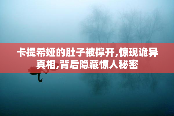 卡提希娅的肚子被撑开,惊现诡异真相,背后隐藏惊人秘密