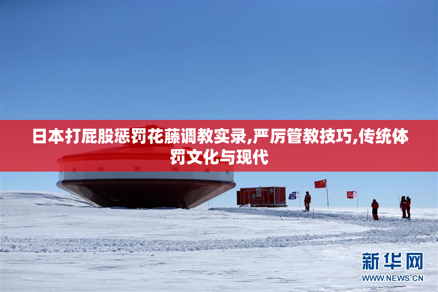 日本打屁股惩罚花藤调教实录,严厉管教技巧,传统体罚文化与现代