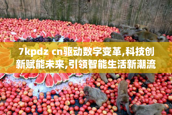 7kpdz cn驱动数字变革,科技创新赋能未来,引领智能生活新潮流