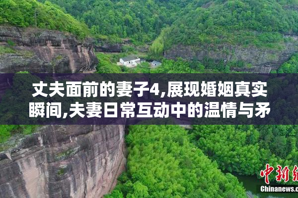丈夫面前的妻子4,展现婚姻真实瞬间,夫妻日常互动中的温情与矛盾