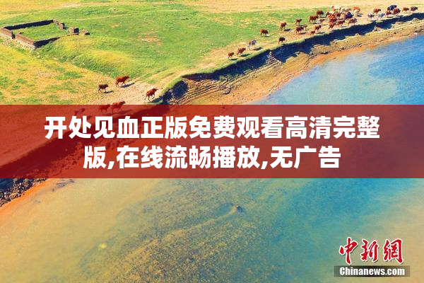 开处见血正版免费观看高清完整版,在线流畅播放,无广告