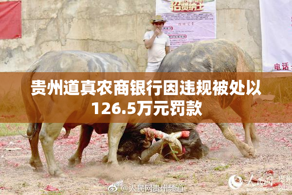 贵州道真农商银行因违规被处以126.5万元罚款