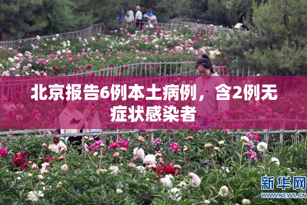 北京报告6例本土病例，含2例无症状感染者