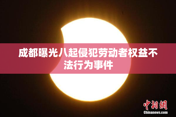 成都曝光八起侵犯劳动者权益不法行为事件