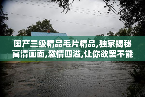 国产三级精品毛片精品,独家揭秘高清画面,激情四溢,让你欲罢不能