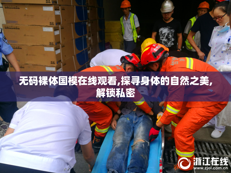 无码裸体国模在线观看,探寻身体的自然之美,解锁私密
