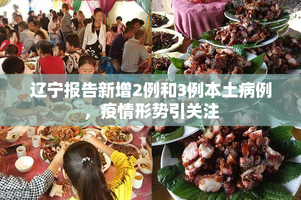 辽宁报告新增2例和3例本土病例，疫情形势引关注
