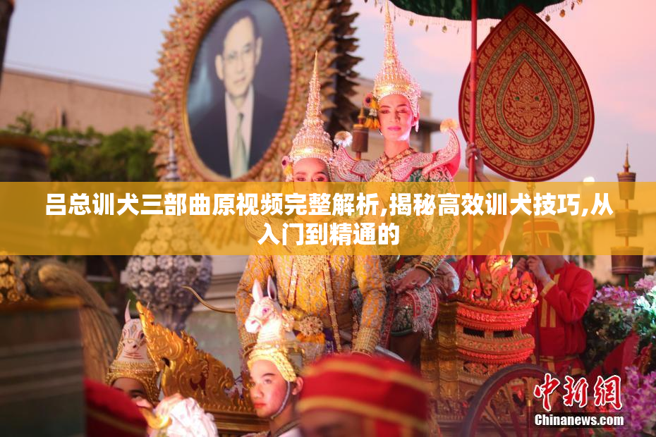 吕总训犬三部曲原视频完整解析,揭秘高效训犬技巧,从入门到精通的