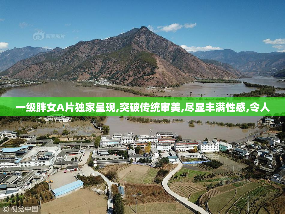 一级胖女A片独家呈现,突破传统审美,尽显丰满性感,令人