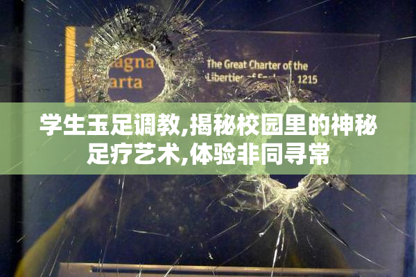 学生玉足调教,揭秘校园里的神秘足疗艺术,体验非同寻常
