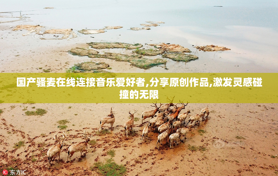 国产骚麦在线连接音乐爱好者,分享原创作品,激发灵感碰撞的无限