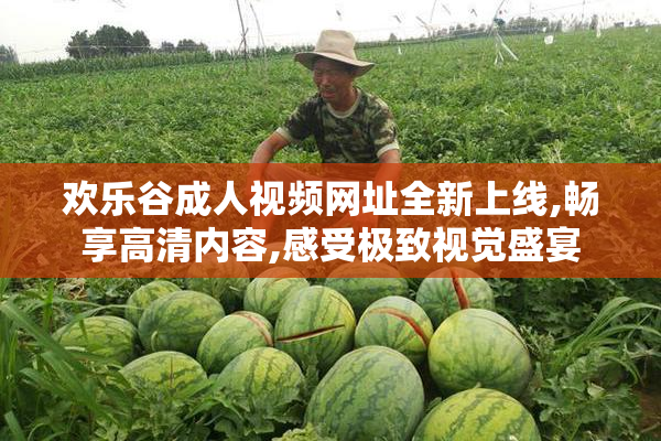 欢乐谷成人视频网址全新上线,畅享高清内容,感受极致视觉盛宴