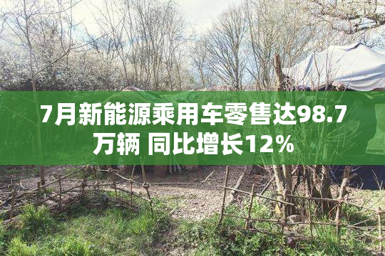 7月新能源乘用车零售达98.7万辆 同比增长12%