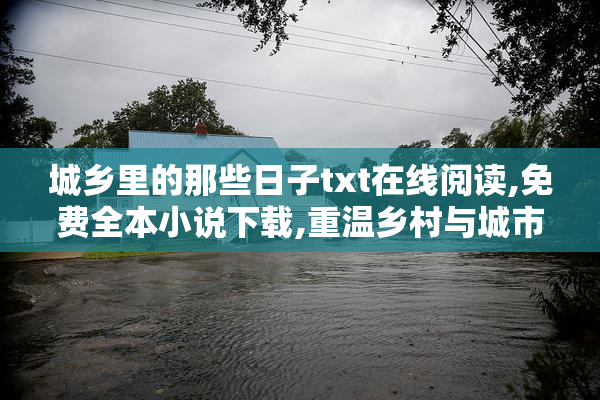 城乡里的那些日子txt在线阅读,免费全本小说下载,重温乡村与城市的