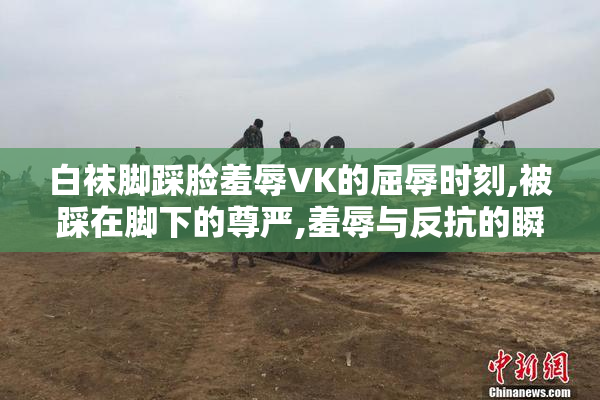 白袜脚踩脸羞辱VK的屈辱时刻,被踩在脚下的尊严,羞辱与反抗的瞬间
