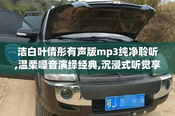洁白叶倩彤有声版mp3纯净聆听,温柔嗓音演绎经典,沉浸式听觉享受