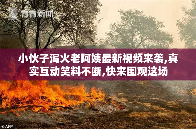 小伙子泻火老阿姨最新视频来袭,真实互动笑料不断,快来围观这场