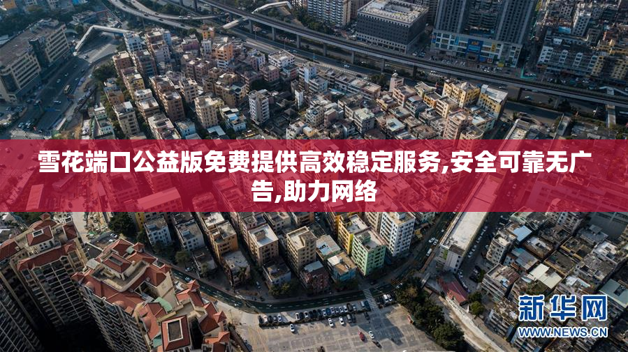 雪花端口公益版免费提供高效稳定服务,安全可靠无广告,助力网络