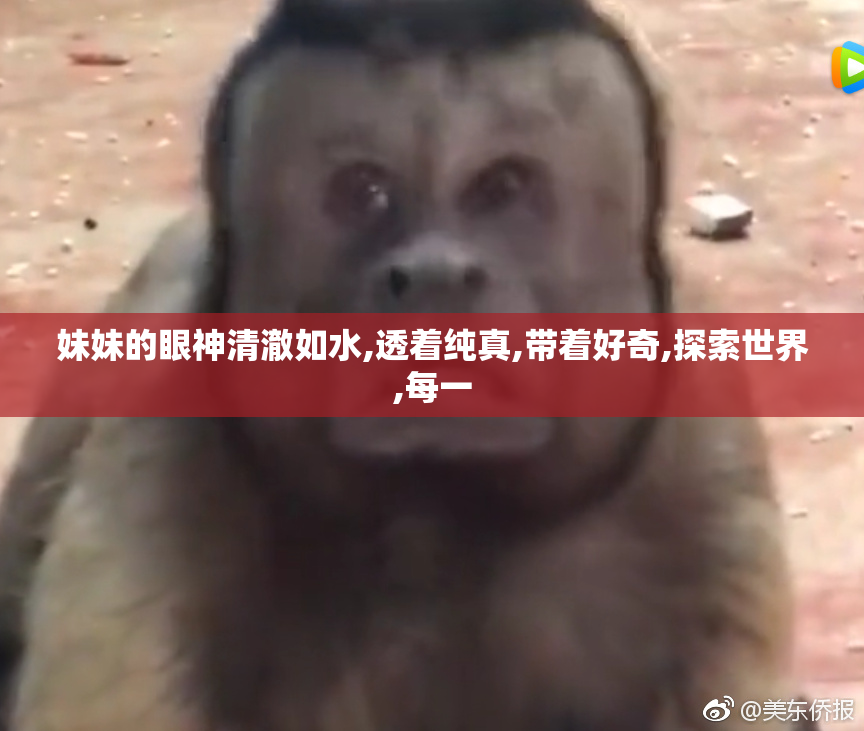 妹妹的眼神清澈如水,透着纯真,带着好奇,探索世界,每一
