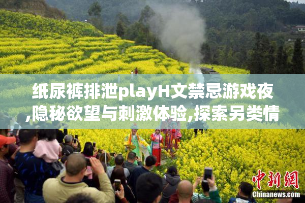 纸尿裤排泄playH文禁忌游戏夜,隐秘欲望与刺激体验,探索另类情欲