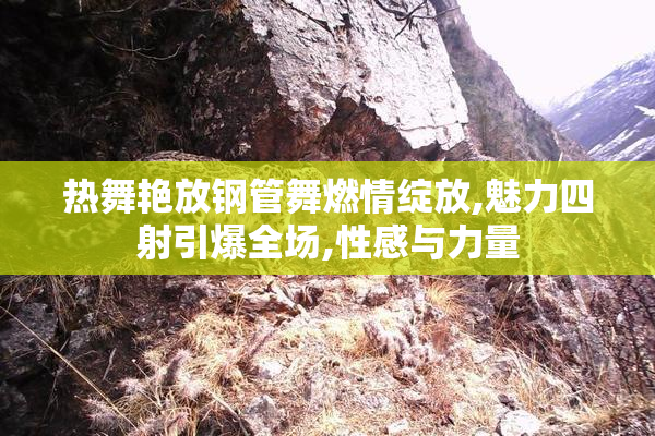 热舞艳放钢管舞燃情绽放,魅力四射引爆全场,性感与力量