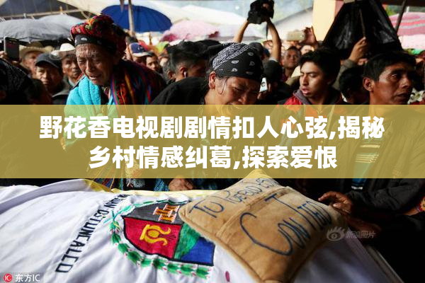 野花香电视剧剧情扣人心弦,揭秘乡村情感纠葛,探索爱恨