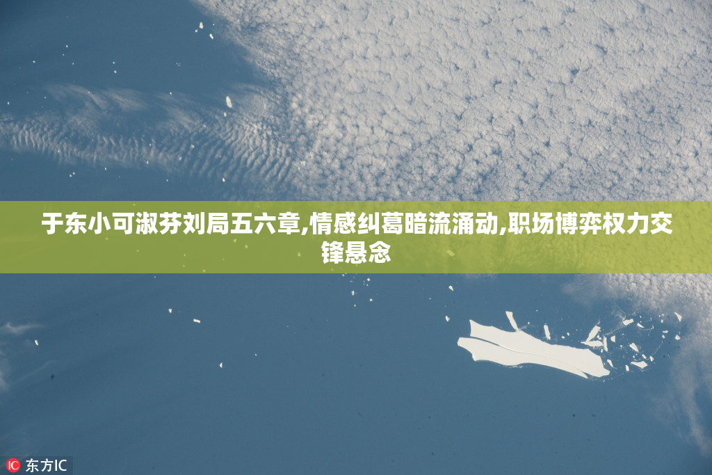 于东小可淑芬刘局五六章,情感纠葛暗流涌动,职场博弈权力交锋悬念