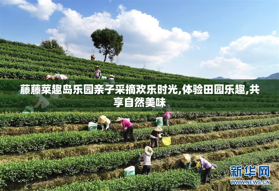藤藤菜趣岛乐园亲子采摘欢乐时光,体验田园乐趣,共享自然美味