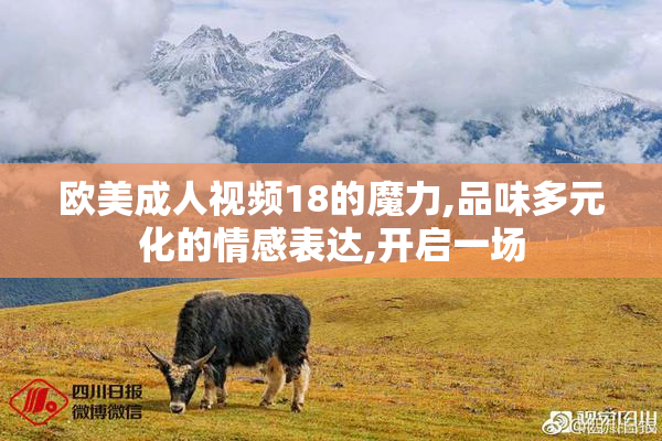 欧美成人视频18的魔力,品味多元化的情感表达,开启一场
