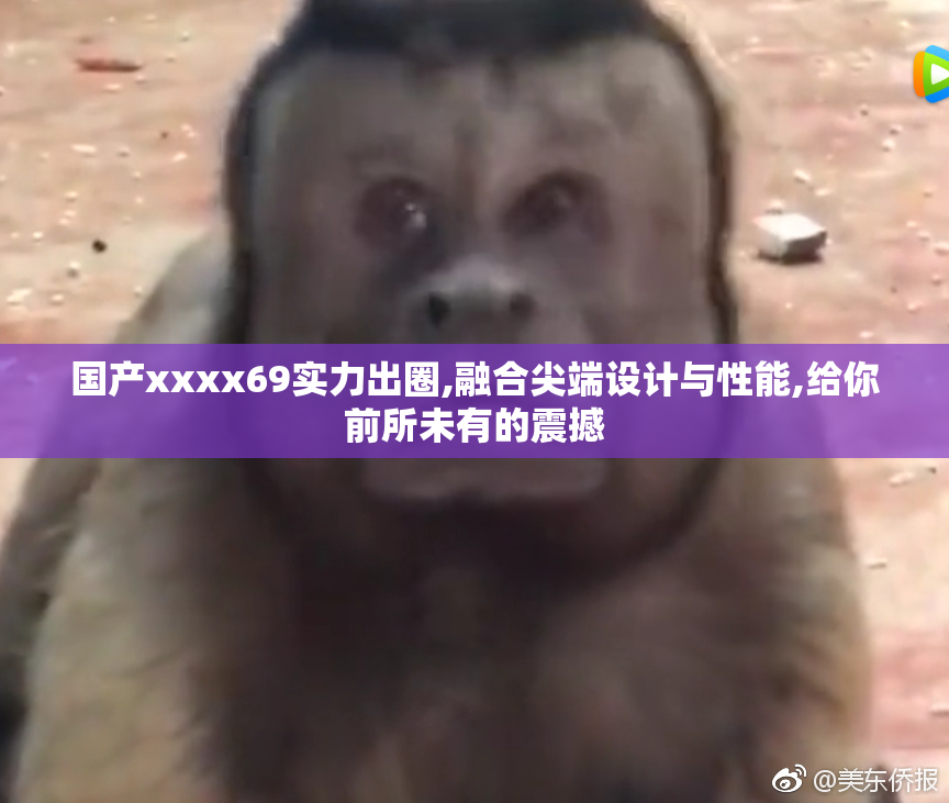国产xxxx69实力出圈,融合尖端设计与性能,给你前所未有的震撼