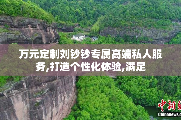 万元定制刘钞钞专属高端私人服务,打造个性化体验,满足