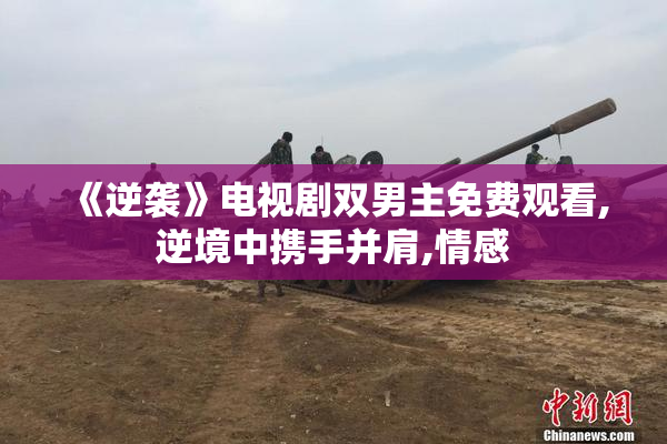 《逆袭》电视剧双男主免费观看,逆境中携手并肩,情感