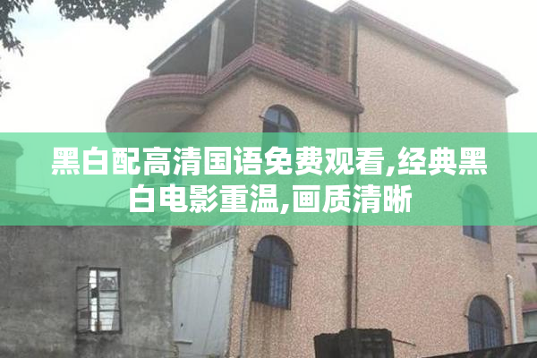 黑白配高清国语免费观看,经典黑白电影重温,画质清晰