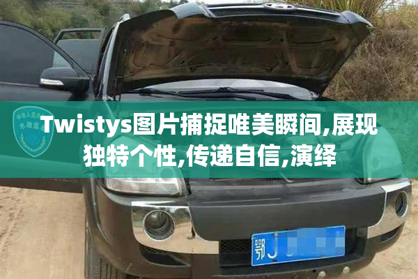 Twistys图片捕捉唯美瞬间,展现独特个性,传递自信,演绎