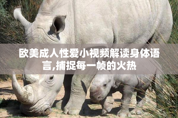欧美成人性爱小视频解读身体语言,捕捉每一帧的火热