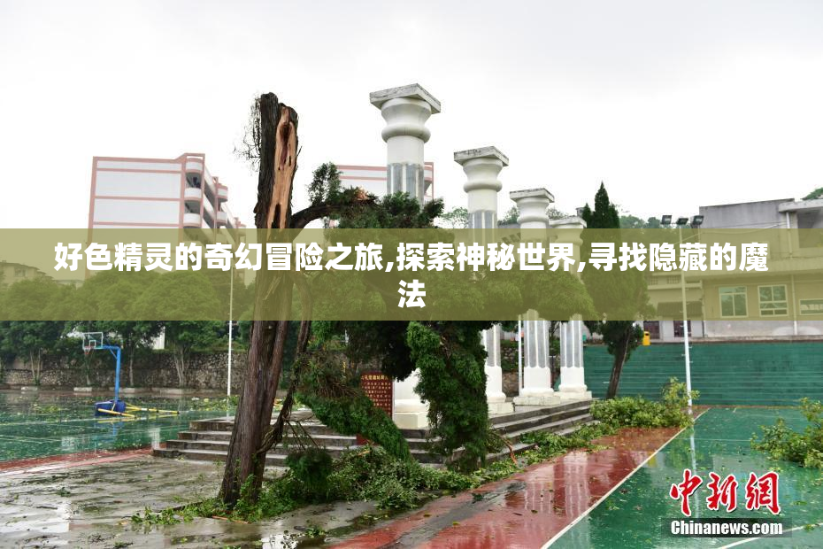 好色精灵的奇幻冒险之旅,探索神秘世界,寻找隐藏的魔法