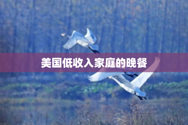 美国低收入家庭的晚餐