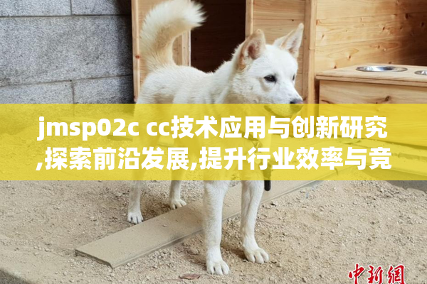 jmsp02c cc技术应用与创新研究,探索前沿发展,提升行业效率与竞争力