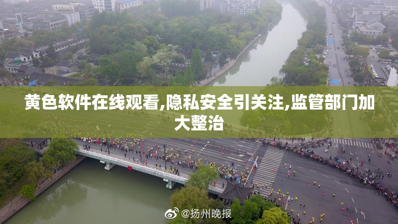 黄色软件在线观看,隐私安全引关注,监管部门加大整治
