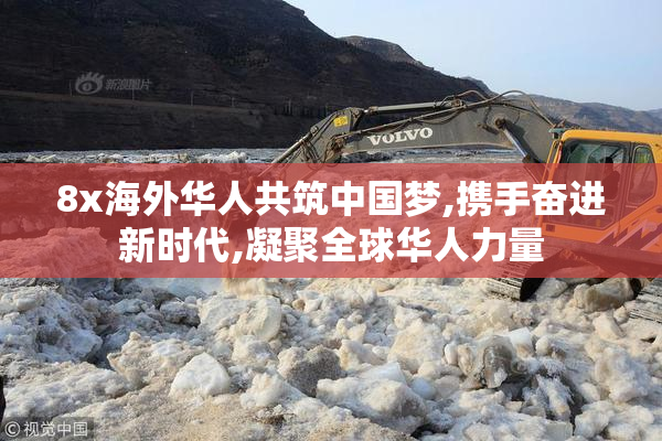 8x海外华人共筑中国梦,携手奋进新时代,凝聚全球华人力量