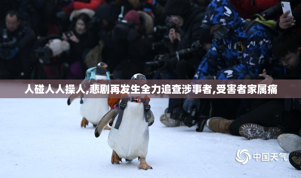人碰人人操人,悲剧再发生全力追查涉事者,受害者家属痛