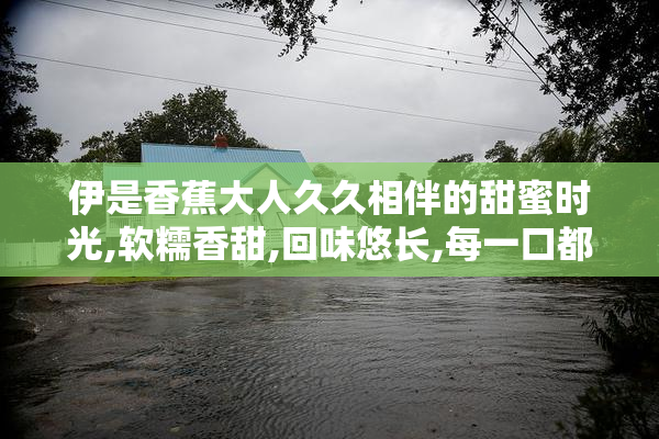 伊是香蕉大人久久相伴的甜蜜时光,软糯香甜,回味悠长,每一口都是