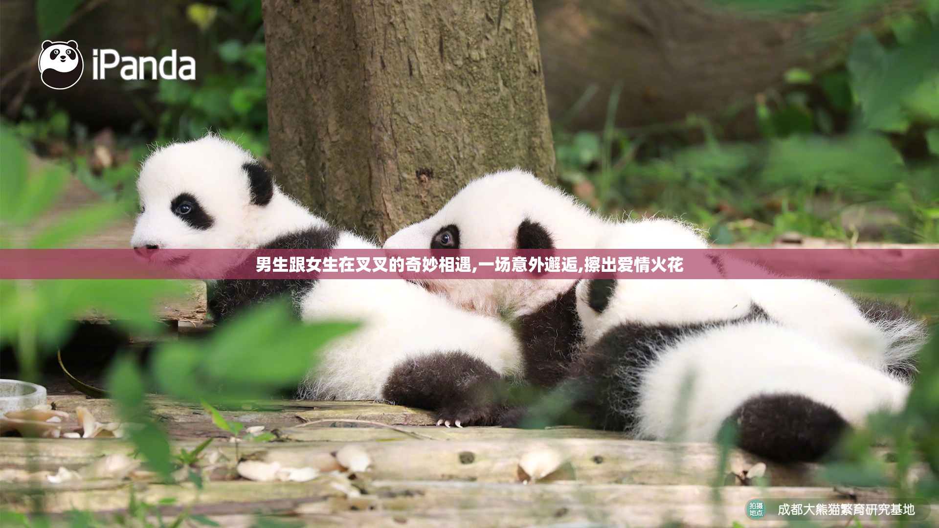 男生跟女生在叉叉的奇妙相遇,一场意外邂逅,擦出爱情火花