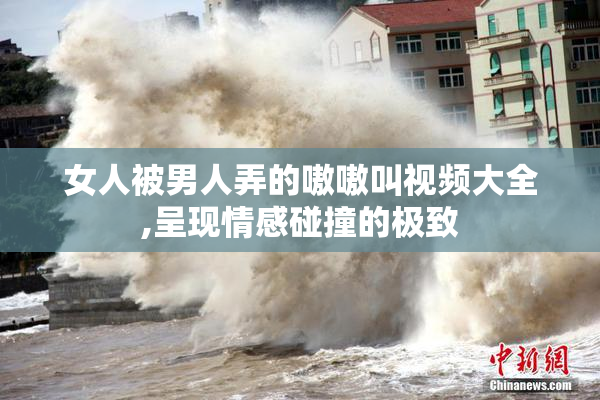 女人被男人弄的嗷嗷叫视频大全,呈现情感碰撞的极致