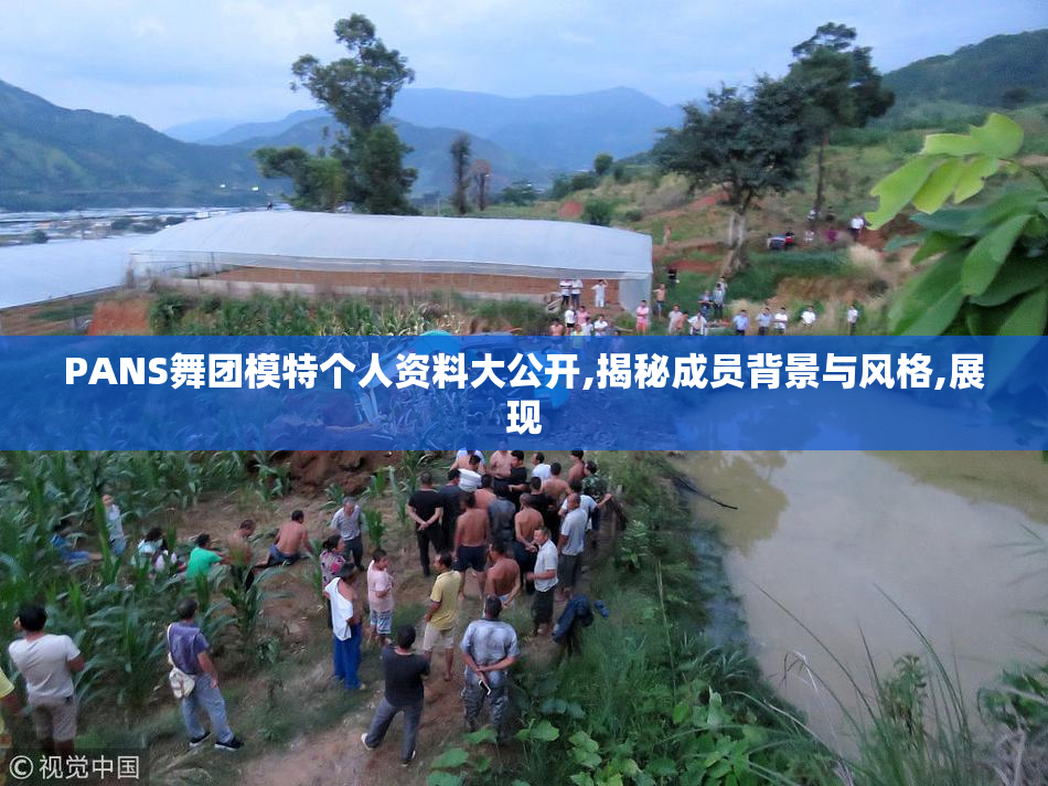 PANS舞团模特个人资料大公开,揭秘成员背景与风格,展现
