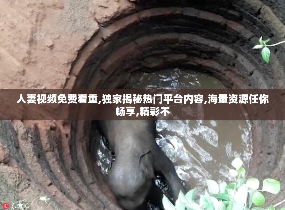 人妻视频免费看重,独家揭秘热门平台内容,海量资源任你畅享,精彩不