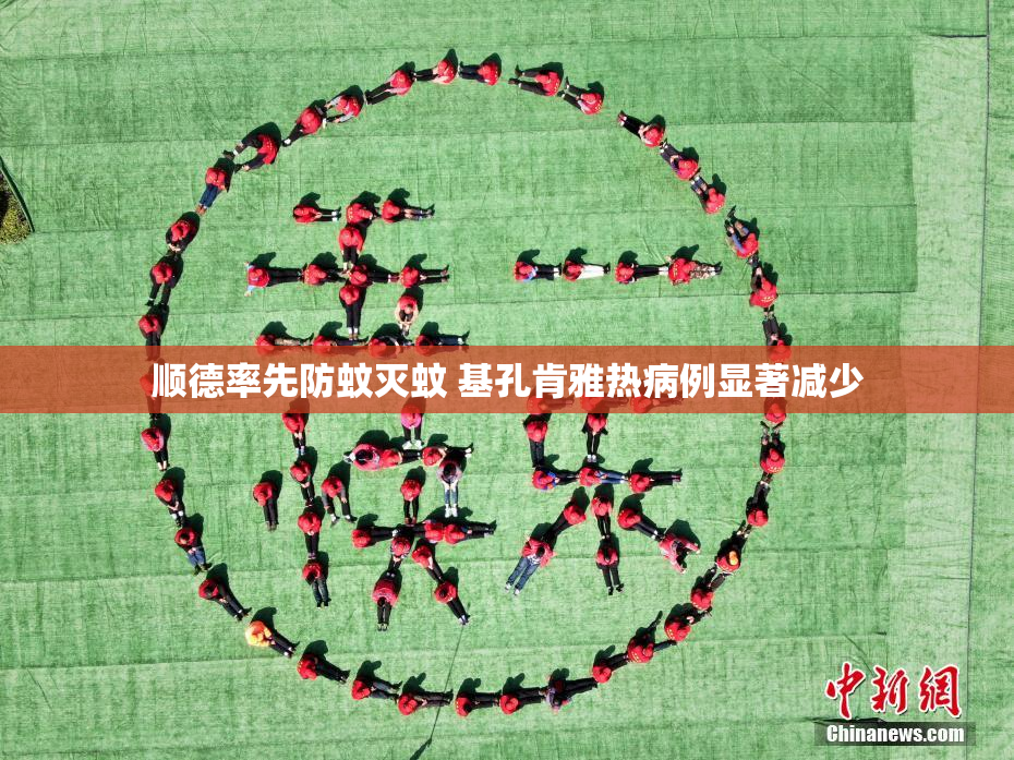 顺德率先防蚊灭蚊 基孔肯雅热病例显著减少