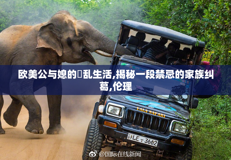 欧美公与媳的婬乱生活,揭秘一段禁忌的家族纠葛,伦理